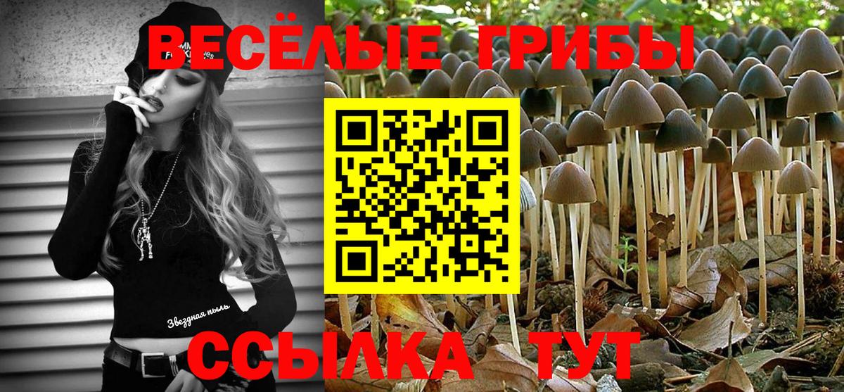 Владикавказ  Галлюциногенные грибы GOLDEN TEACHER  Вход с VPN 