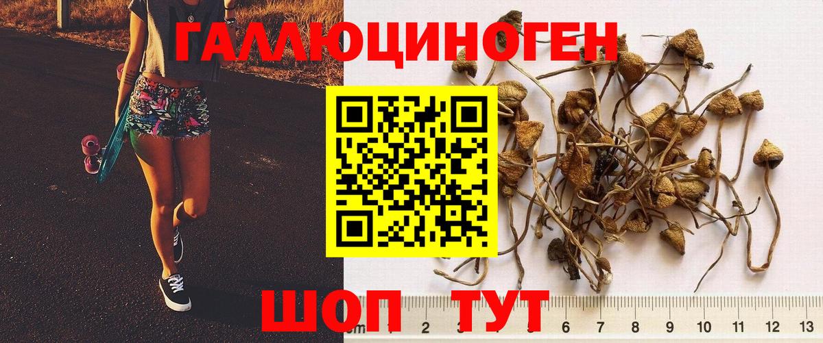 Галлюциногенные грибы мухоморы Владикавказ